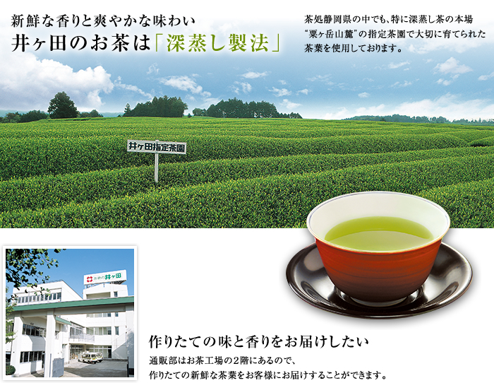 新鮮な香りとコクのある深い味わい 井ヶ田のお茶は「深蒸し茶」。茶所静岡県の中でも、特に深蒸し茶の本場“粟ヶ岳山麓”の指定茶園で大切に育てられた茶用を使用しております。