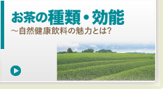 お茶の効能・種類